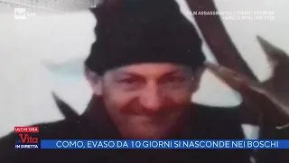 Como, evaso da 10 giorni si nasconde nei boschi -  La vita in diretta 23/03/2022