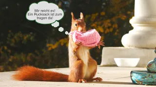 Matula und der rosa Rucksack 🎒 🐿 - in 4K