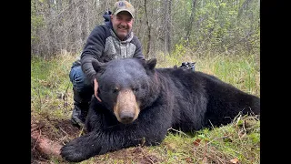 417 POUND BOONE CROCKETT Spring Bear Makes a Mistake And Comes Back