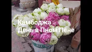 Камбоджа самостоятельно. Тук тук по городу и еда на ночном рынке. 1 серия // декабрь, 2017