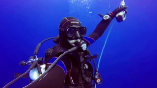 BLUE SHARK dive -  Açores 2014