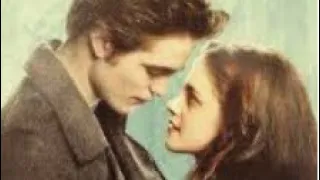 Animals Edward and Bella #twilight