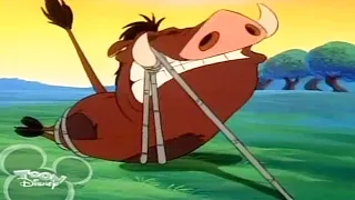 Timon & Pumbaa Season 1x32B - Washington Applesauce  Full Episode