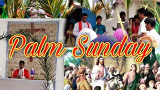 Jisu Raja Hosanna - Palm Sunday Video 2021