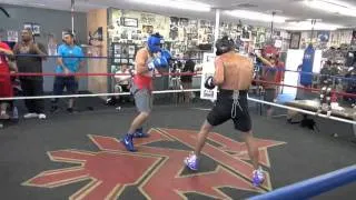 jorge linares sparring en el will card