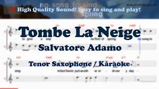 Tombe La Neige - Salvatore Adamo (Tenor/Soprano Saxophone Sheet Music Dm Key / Karaoke / Easy Solo)