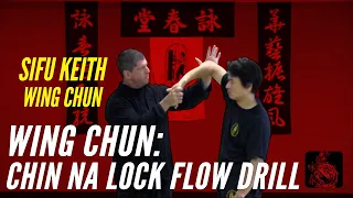 Wing Chun: Chin Na Loc Flow Drill