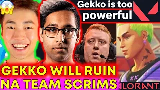 NRG Ardiis SLAMS Gecko "Overpowered", Ruins NA Practice?! 😱 VCT News