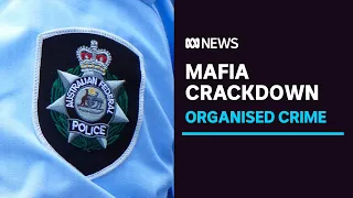 Mafia's billion dollar money-laundering operations revealed by the AFP | ABC News