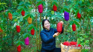 How to harvest Wild Pineapple &Go to the Market ​- Harvest,Selling & Cooking |Ly Tieu Van Daily Life