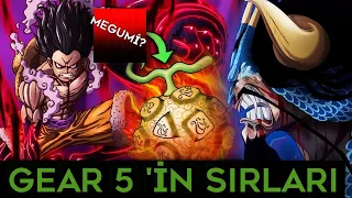 GEAR 5 LUFFY'NİN SIRLARI ONAYLANDI! MEGUMİ İSHİTANİ GERÇEKLERİ!