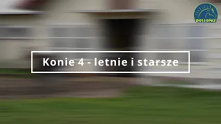 Przegląd koni 4 - letnich i starszych przed sezonem 2021 Stajnia Rosłońce