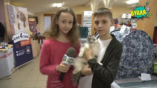 Міжнародна виставка котів