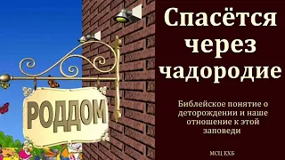 "О деторождении". А. В. Некрасов. МСЦ ЕХБ