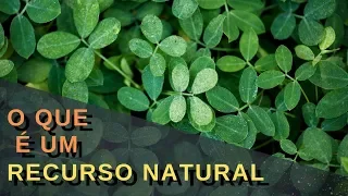 Recursos Naturais: O que são?