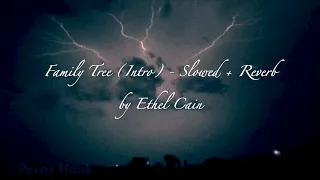 Family Tree Intro   Ethel Cain   Slowed + Reverb   SD 480p