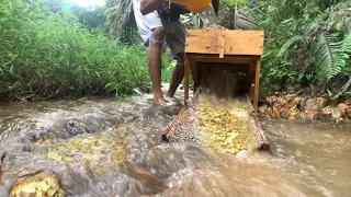 VIRAL,‼️ SATU SATUNYA SUNGAI DI INDONESIA YANG BERPOTENSI EMAS TERBANYAK