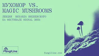 Мухомор vs. magic mushrooms: лекция Михаила Вишневского на Signal 2021