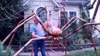 GIANT Halloween Spider