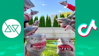 Ultimate Shark Puppet TikTok Compilation 2021 - Funny Shark Puppet Videos