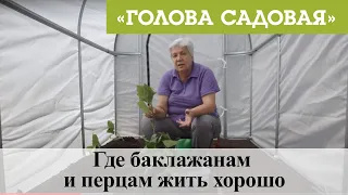 Голова садовая - Где баклажанам и перцам жить хорошо