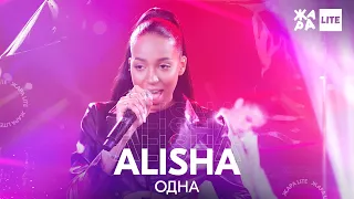 ALISHA - Одна /// ЖАРА LITE 07.11.21