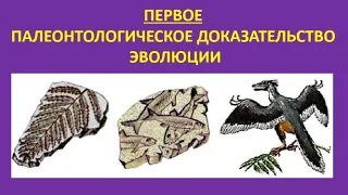 6. Первое палеонтологическое доказательство эволюции