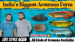 Explore Bengaluru's Largest Arowana Fish Farm & Exotic Fish at Life Style Aqua! | ವಾಸ್ತು ಮೀನು