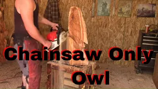 Chainsaw Only Owl!