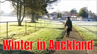 What is winter like in Auckland? | 奥克兰的冬天有多冷？
