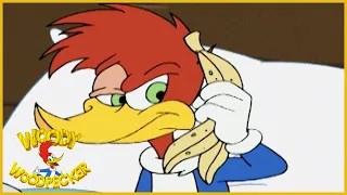 Woody Woodpecker Show | Spring Cleaning | 1 Hour Compilation | Videos For Kids