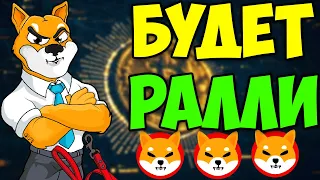 Shiba После ПОДДЕРЖКИ БУДЕТ РАЛЛИ