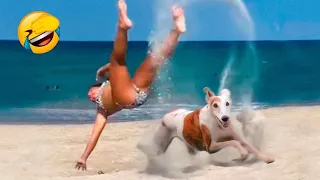 Funniest Animals Videos 😂 funny Cats and Dogs 😺🐶 Part 21