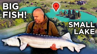 Giant Fish Caught from a Small Lake!