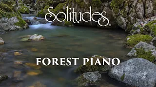 Dan Gibson’s Solitudes - Dreaming by the Stream | Forest Piano