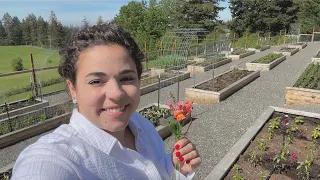 So Many Updates to Show You! Full May Garden Tour!