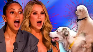 BGT Act Comes Back! AMAZING Dog Audition on Britain's Got Talent 2024!