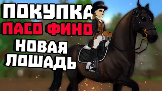 ПОКУПКА ПАСО-ФИНО | НОВАЯ ЛОШАДЬ КОТОРУЮ НИКТО НЕ ЖДАЛ | Star Stable