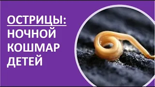 25. Острицы: ночной кошмар детей