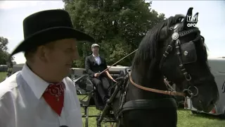 Jak to na Śląsku   "Przegląd Koni Rasy Śląskiej w Porębie"