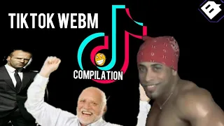 ПОДБОРКА МЕМОВ ИЗ ТИКТОК // TIKTOK WEBM COMPILATION 19