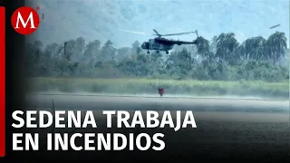 Secretaría de la Defensa Nacional combate incendio en el Parque Nacional de Guerrero