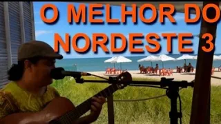 O MELHOR DO NORDESTE 3 LIVE MPB XOTE BAIÃO VOZ E VIOLÃO