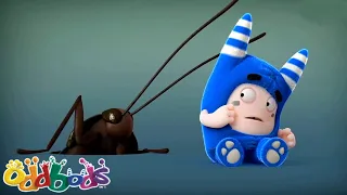 O ZUMBIDO DOS INSETOS | Oddbods | NOVO | Desenhos Animados Engraçados Para Crianças