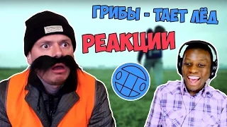 топ 10 реакций на грибы - тает лед