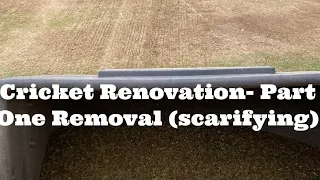 Cricket Renovations - Part One (scarification) Remove