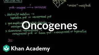 Oncogenes | Biomolecules | MCAT | Khan Academy