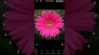 How to use Rotation motion in a Flower using Motionleap App ?