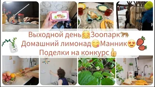 ВЫХОДНОЙ ДЕНЬ🤗/БУДНИ МАМЫ С ДЕТЬМИ/ ДОМАШНИЙ ЛИМОНАД😋/ЗООПАРК🐅/МАННИК🥧/ПОКУПКИ/ДЕЛАЕМ ПОДЕЛКИ ⚘