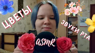 АСМР заряжу на позитив цветами 💐 ASMR flowers and mouth sounds